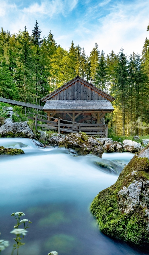 Старая хижина в лесу у горной реки