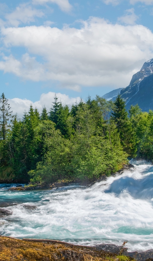 Бушующая быстрая река в лесу