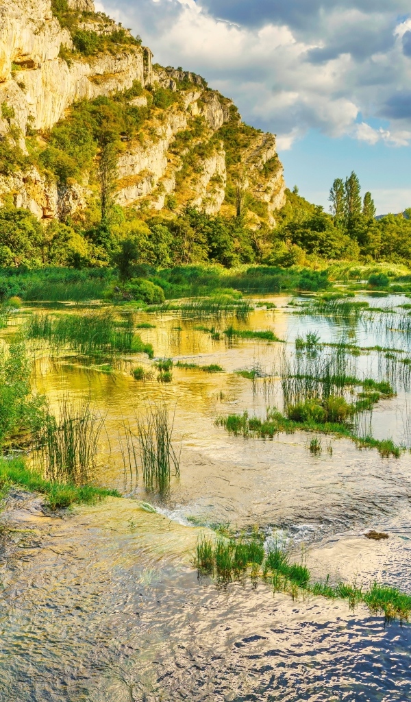 Река с зелеными растениями у горы