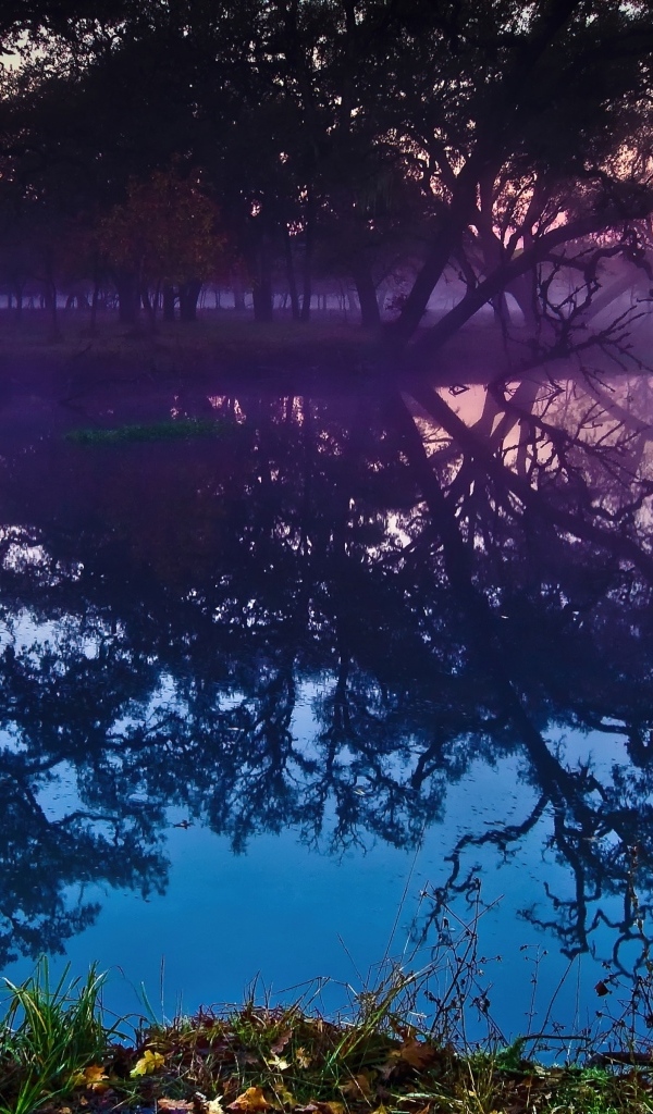 Деревья отражаются в воде озера в сумерках