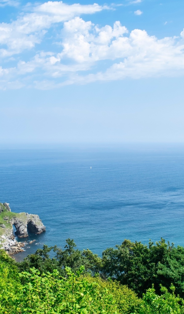 Красивый вид на море с покрытой деревьями горы