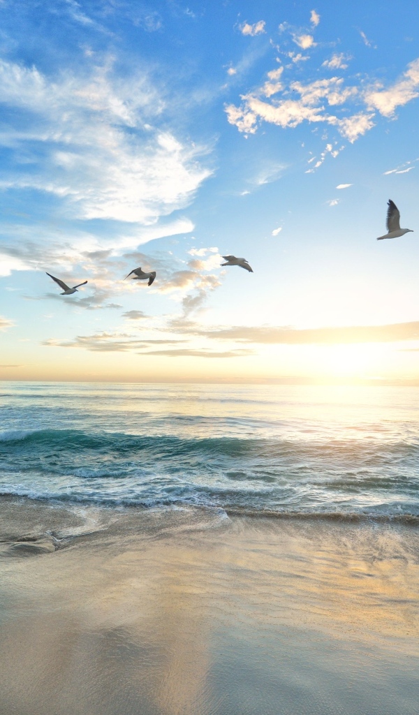 Красивый вид на море летом