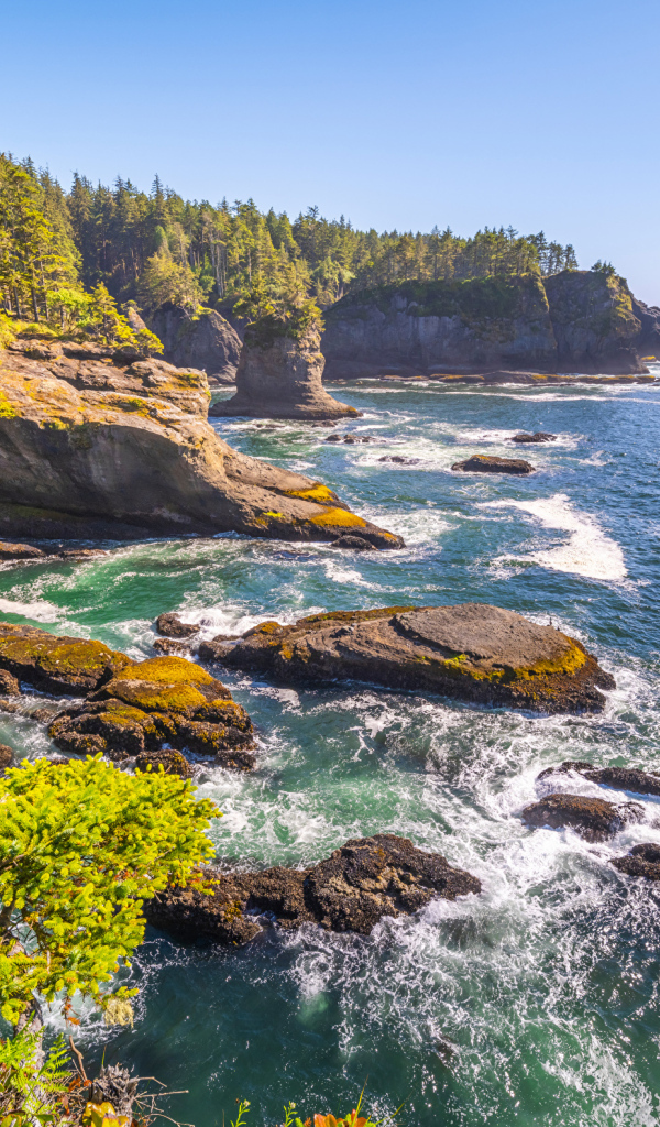 Много камней в воде у утеса