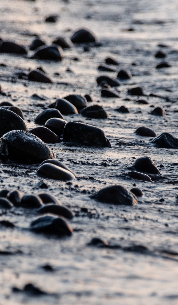 Мокрые камни на песке у моря