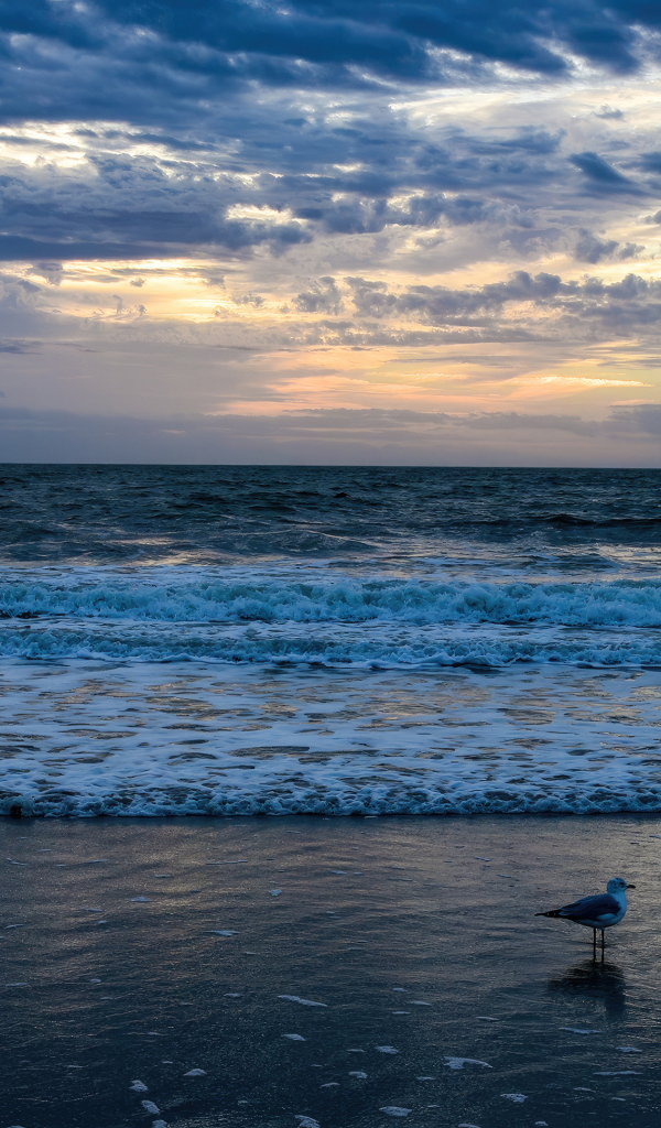 Белые волны окутывают берег моря на рассвете