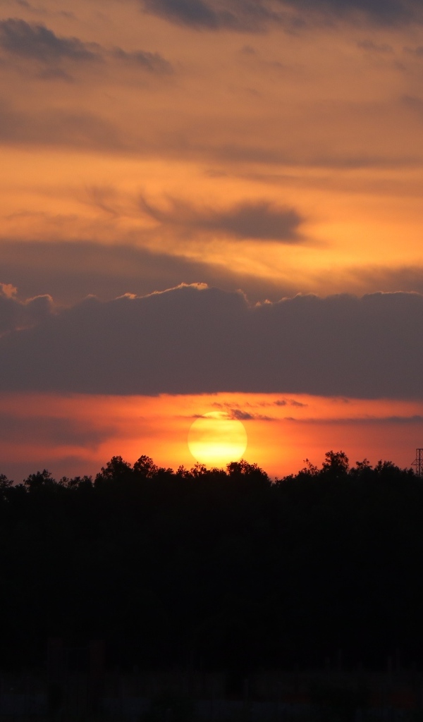 Яркое солнце садится за лесом