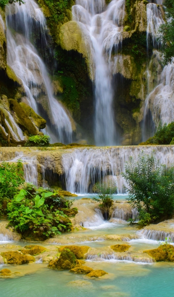 Красивый высокий водопад в лесу