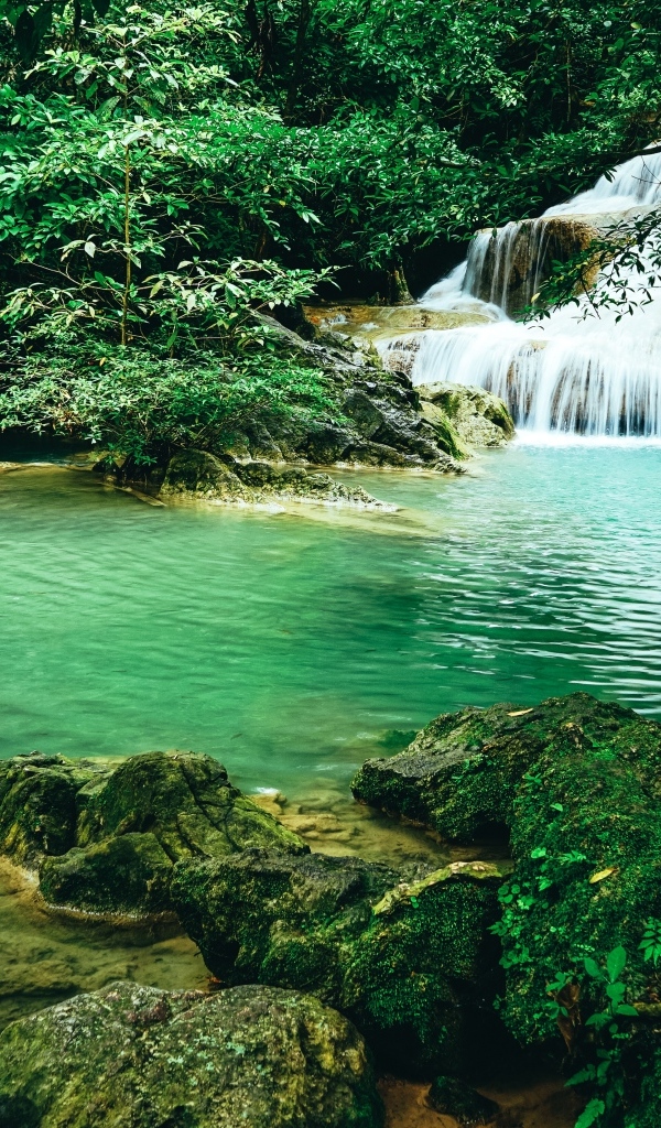 Чистая голубая вода лесного водопада