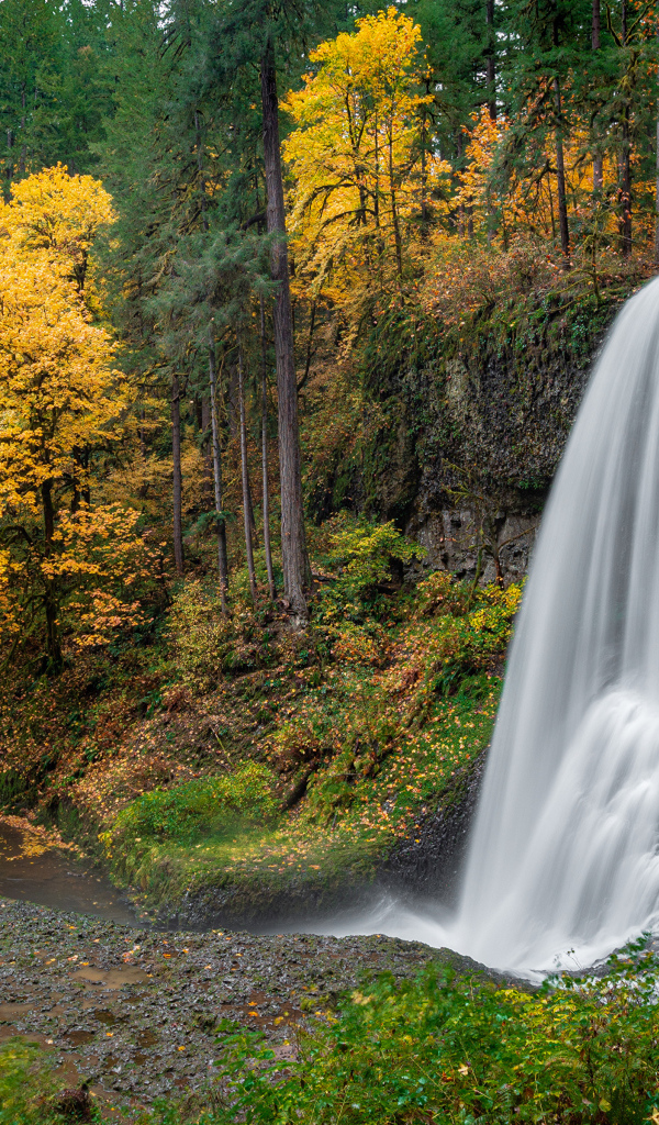 Быстрый холодный водопад в осеннем лесу