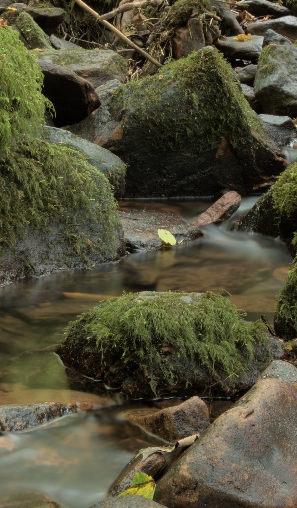 Лесной водопад стекает по холодным камням осенью