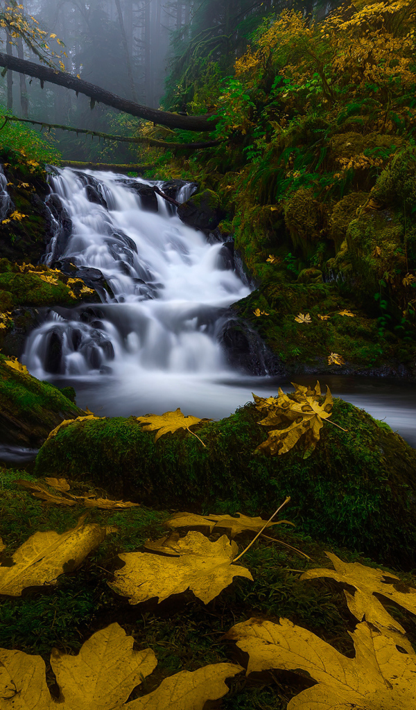 Водопад в лесу осенью