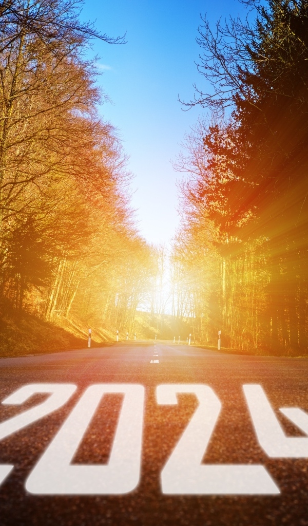 Белые цифры 2024 на дороге в лесу