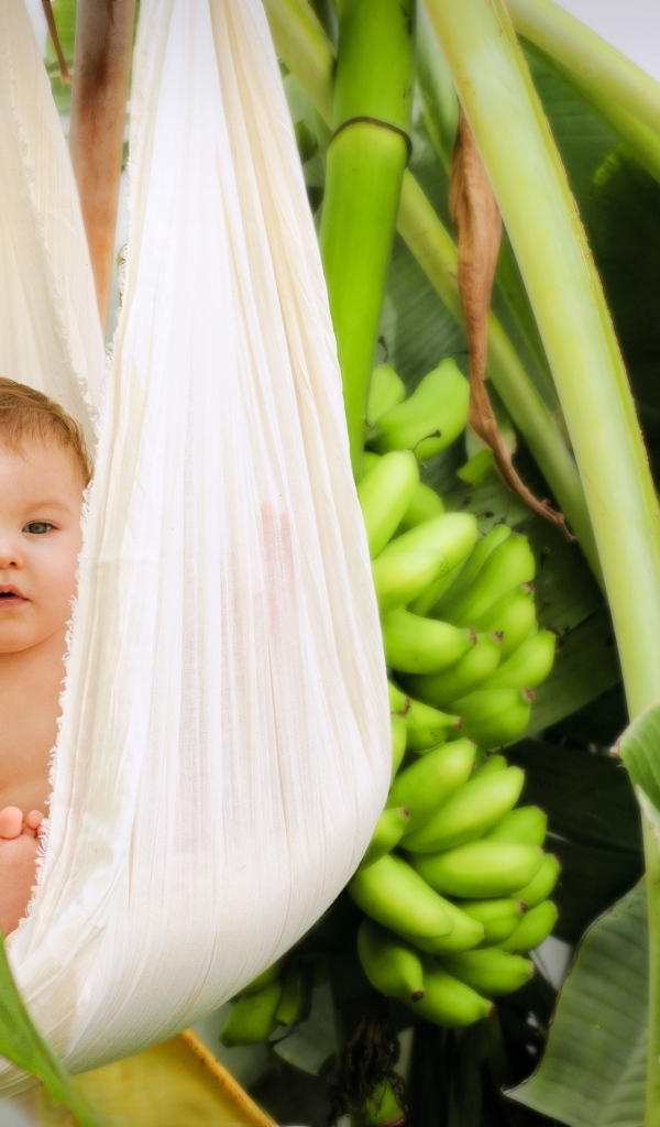 Ребенок в гамаке в тропических зарослях
