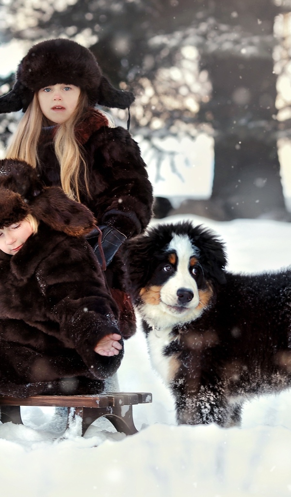 Дети на санках со щенком зимой