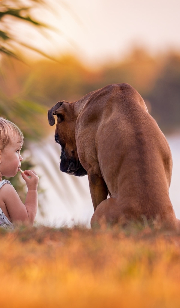 Девочка с собакой на берегу реки