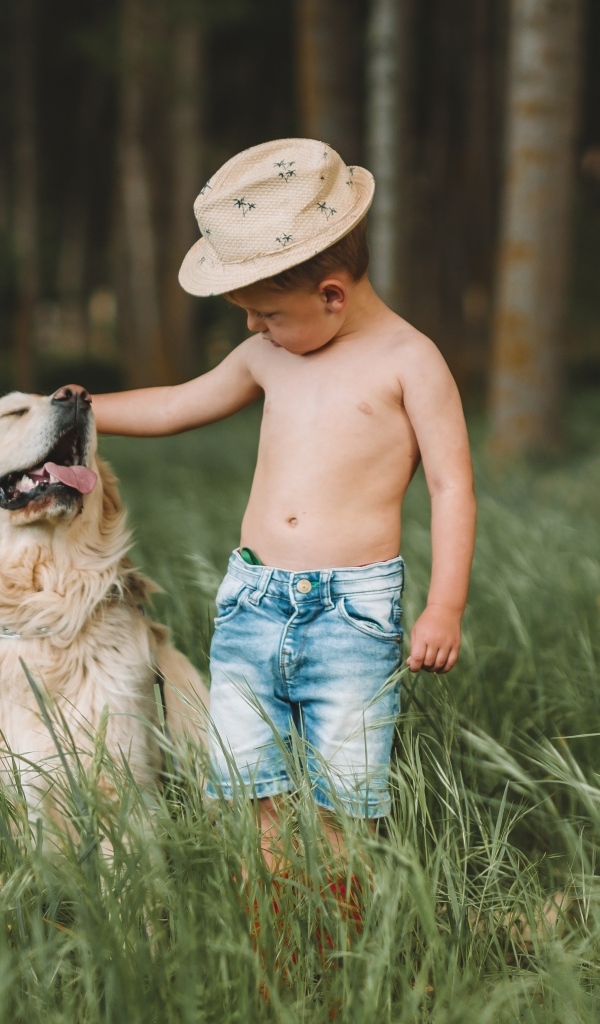 Маленький мальчик с золотистым ретриверов в траве