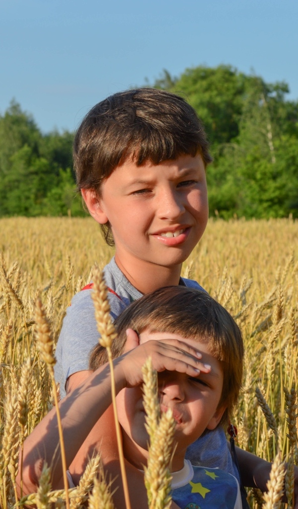 Маленькие дети на поле пшеницы