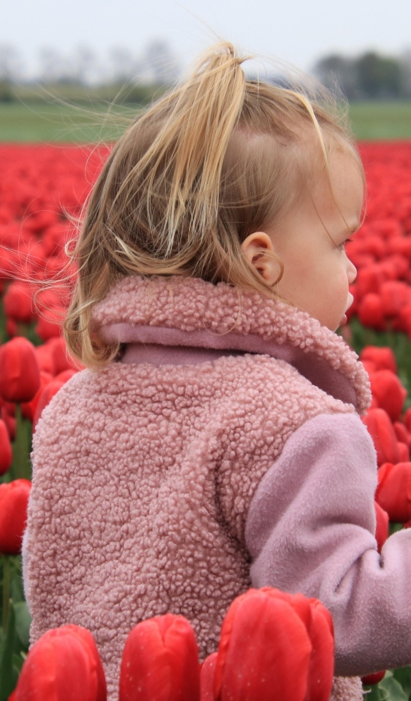 Маленькая девочка на поле с красными тюльпанами