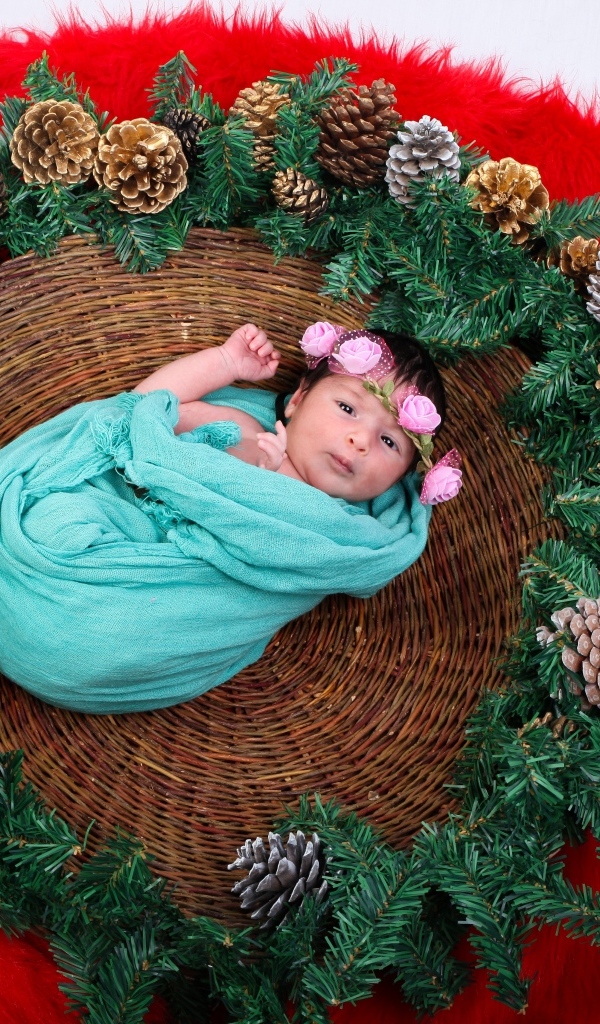 Новорожденная девочка в корзине с еловыми ветками