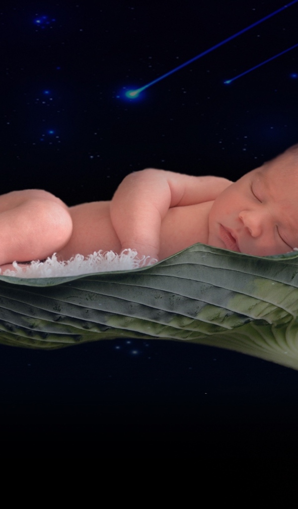 Новорожденный малыш спит на листе лотоса