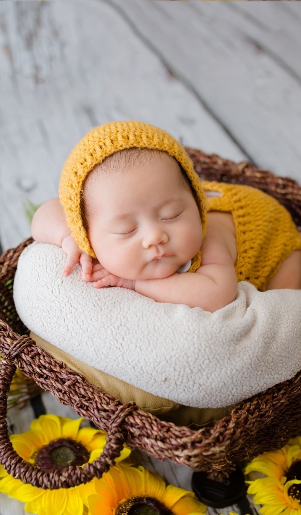 Спящий малыш в корзине с подсолнухами