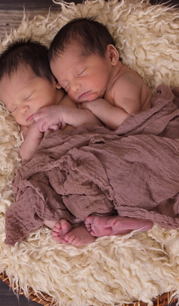 Спящие близнецы в колыбели