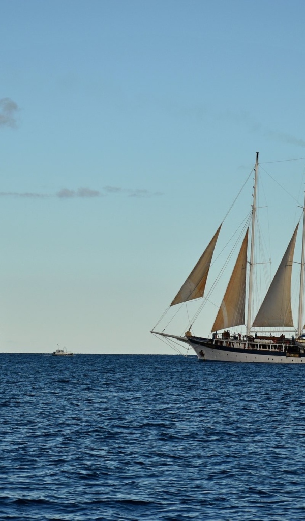 Парусная яхта и корабль в открытом море