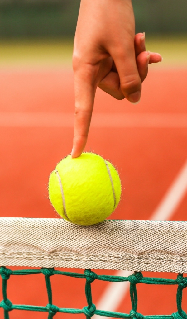 Палец держит желтый теннисный мяч