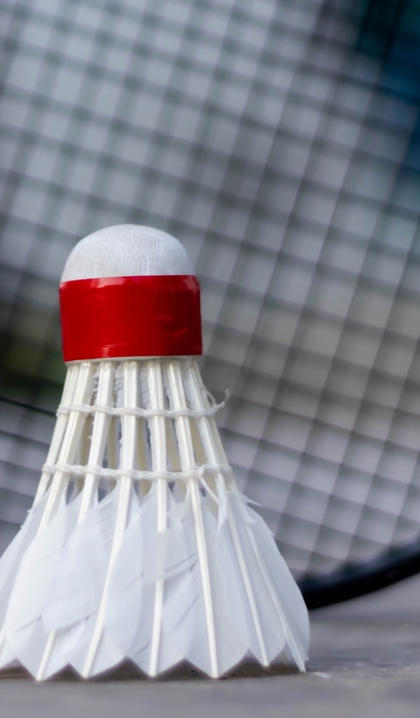 Белый воланчик и ракетка для игры в бадминтон