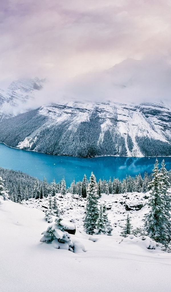 Вид на заснеженные горы, лес и реку