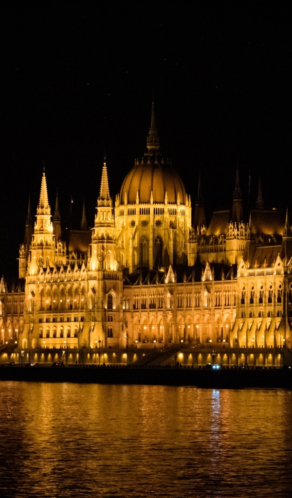 Красивое здание Венгерского парламента ночью