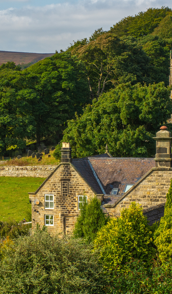 Старинный замок в зарослях, Англия