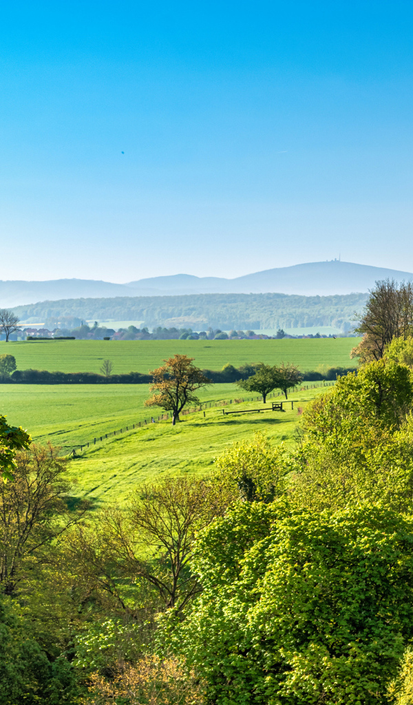 Зеленые деревья под голубым небом, Германия