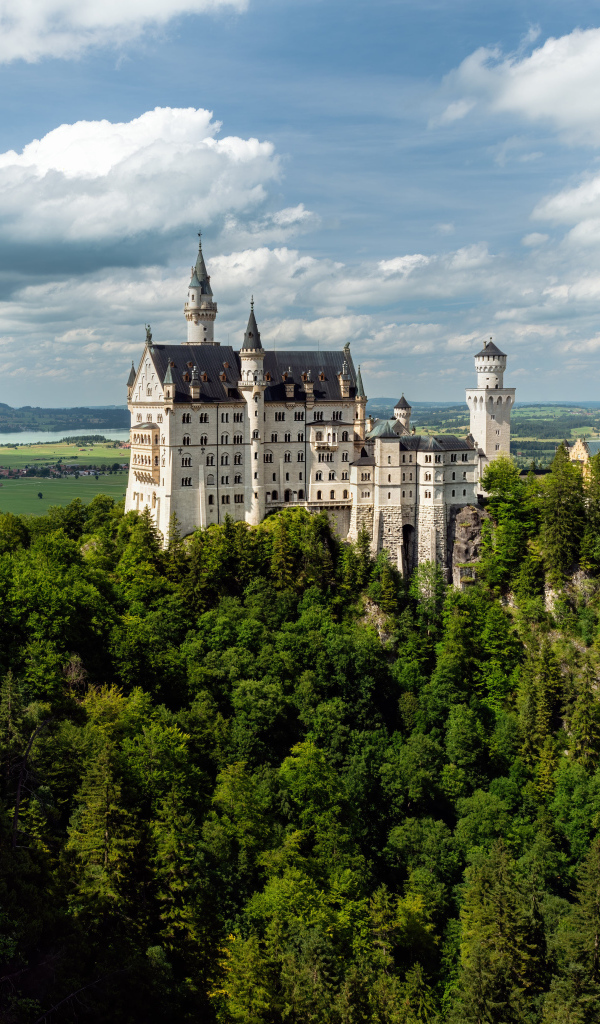 Замок Нойшванштайн в густых зарослях деревьев, Германия