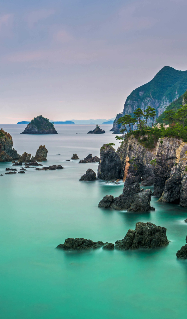 Покрытые зеленью утесы у моря, Исландия