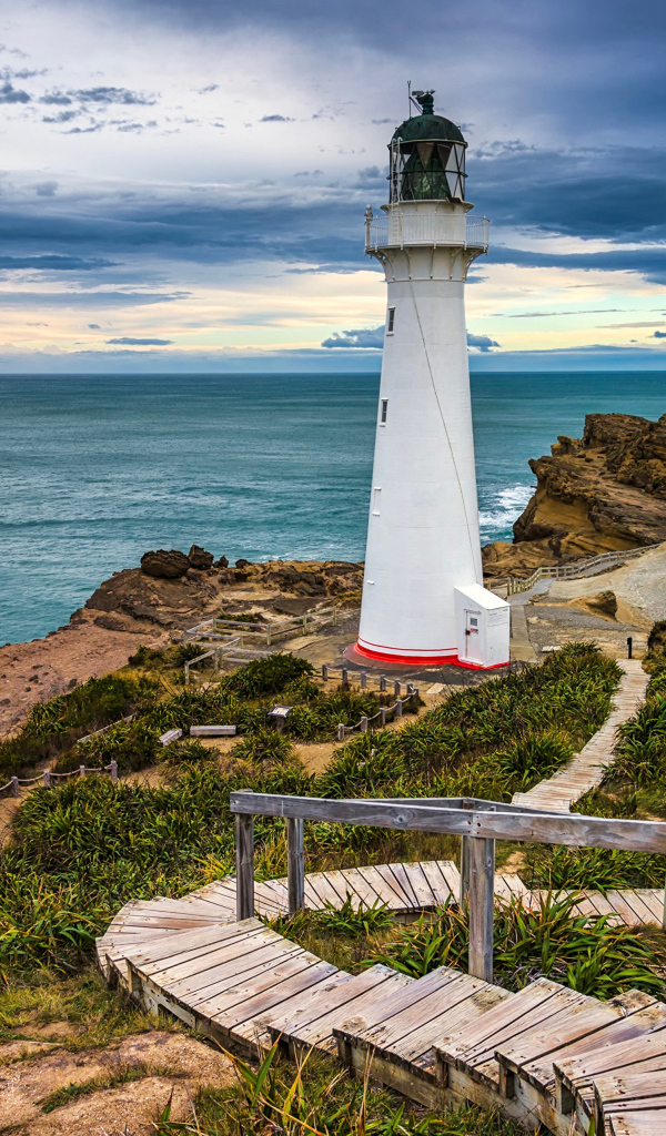 Маяк стоит на берегу моря на побережье Новой Зеландии