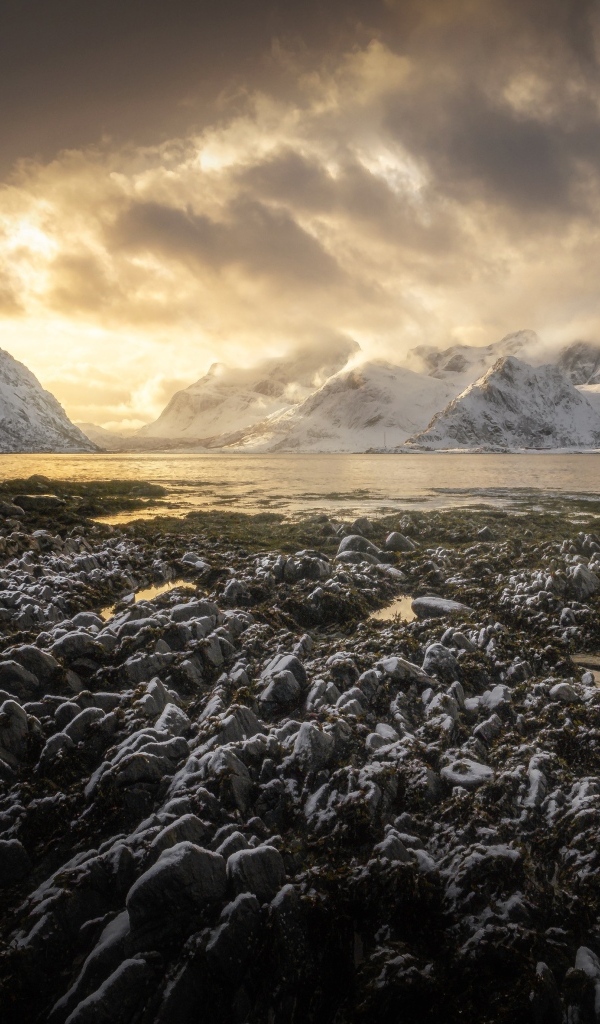Заледеневший берег залива в горах, Лофотенские острова Норвегия