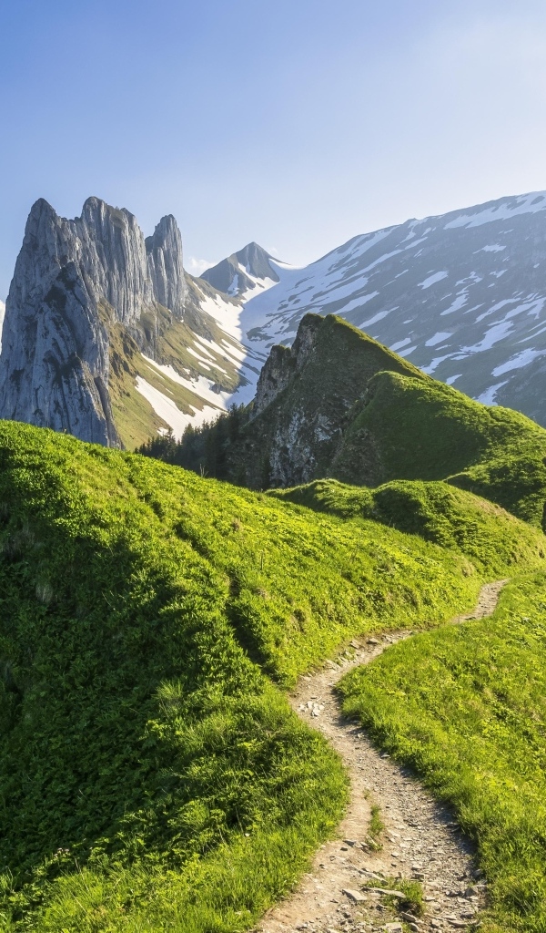 Красивый вид на покрытые зеленью Швейцарские Альпы
