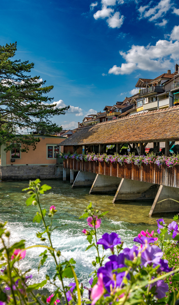 Деревянный мост с цветами через реку, Швейцария