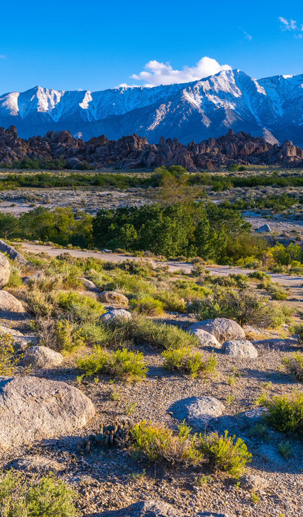 Вид на горы под голубым небом, Калифорния США
