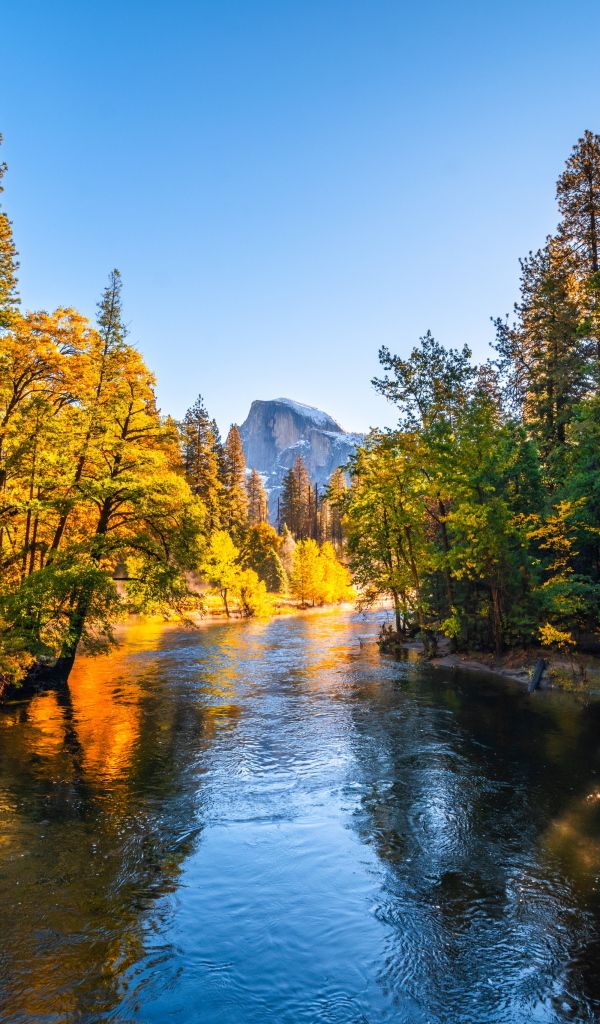 Река в осеннем парке, США