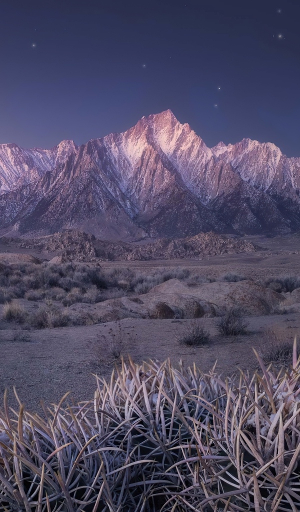 Вид на горы под ночным небом, штат Калифорния. США