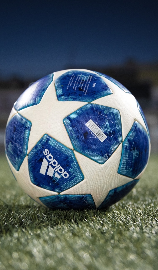 Футбольный мяч адидас на поле