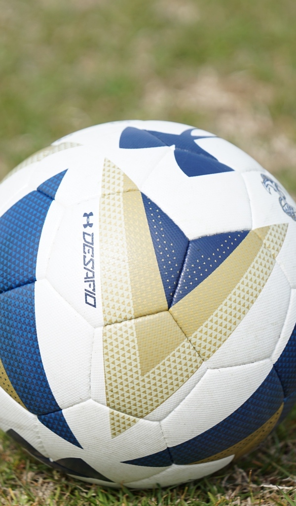 Большой футбольный мяч на поле