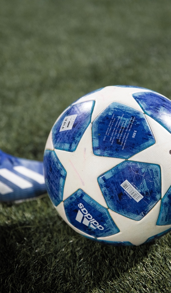 Синий футбольный мяч на зеленой траве поля