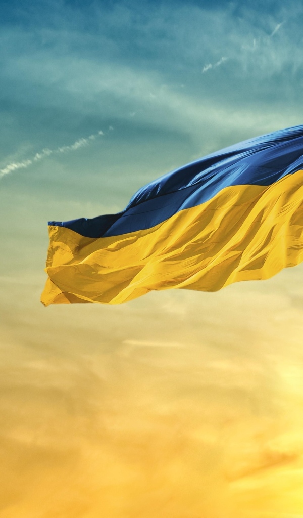 Флаг Украины на фоне неба