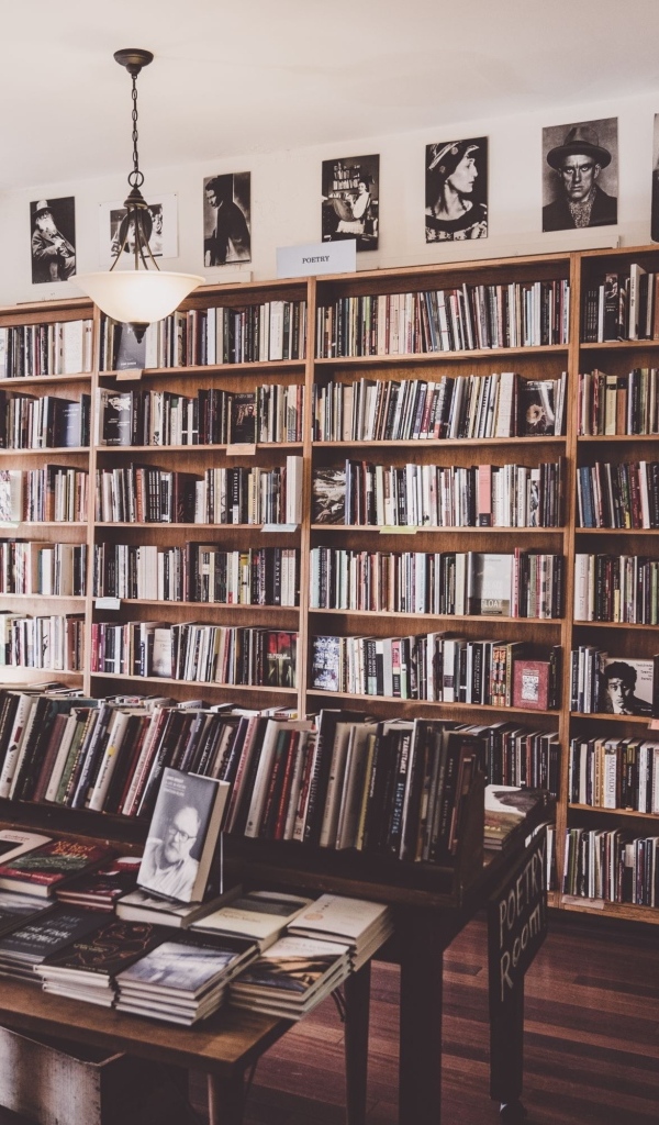 Большой шкаф с книгами в гостиной комнате