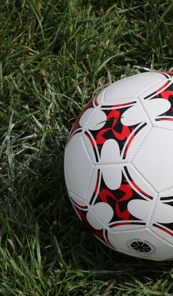 Кожаный футбольный мяч на зеленой траве