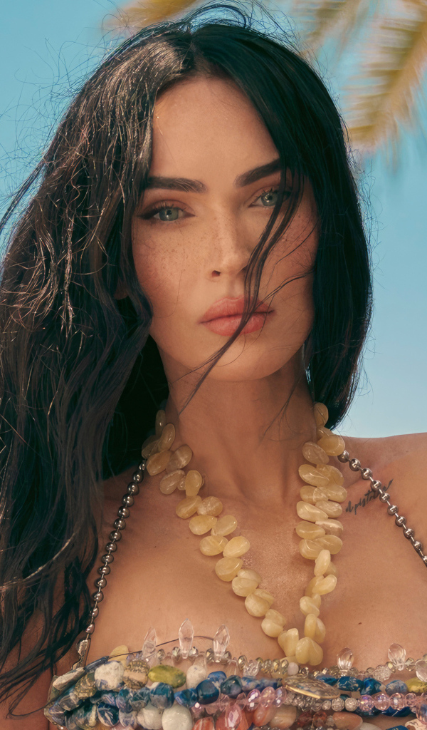 Длинноволосая брюнетка Меган Фокс на пляже