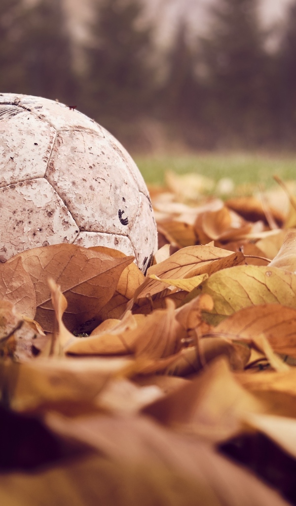 Старый футбольный мяч  в сухой листве